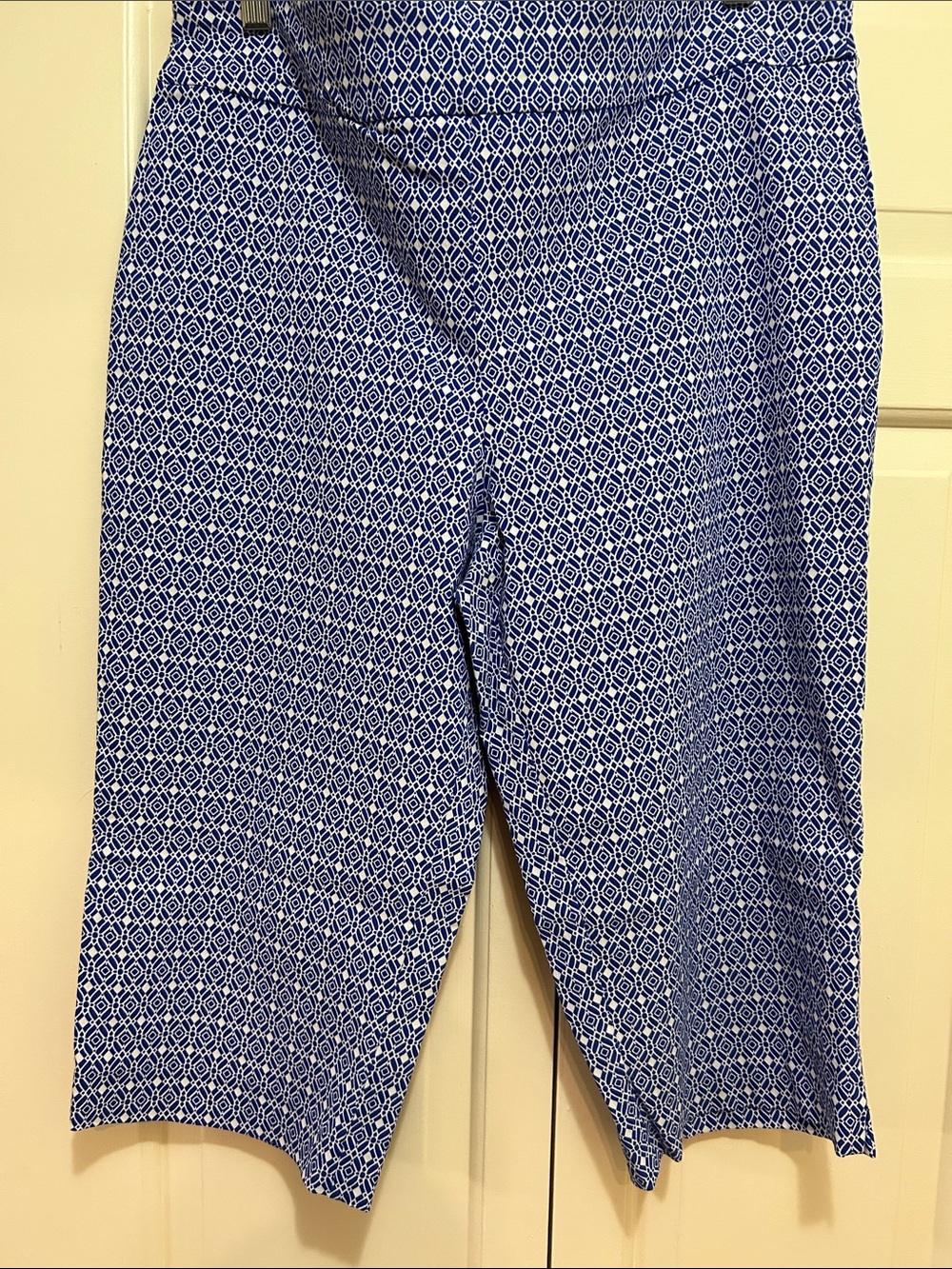Counterparts Blue & White Geometric Capris